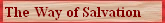 The Way of Salvation